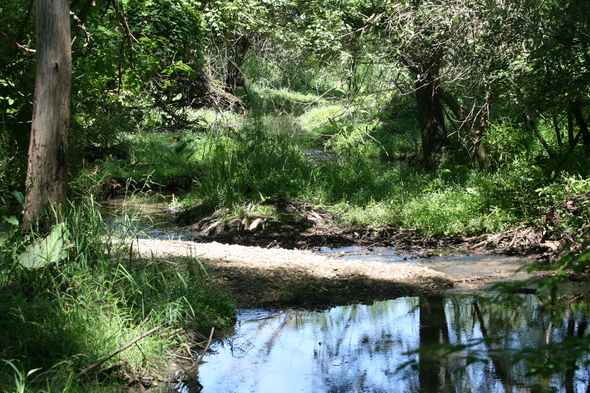 a sand bar caused by road flooding.JPG